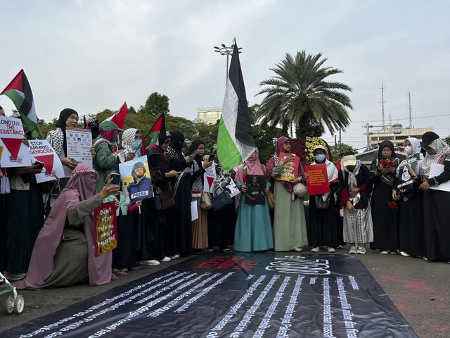 01k4hs69p1544cjjq7h0xqzrxz