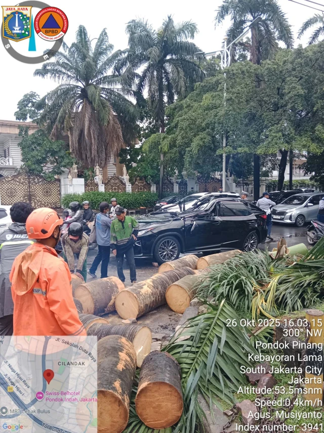 Mobil Lexus tertimpa pohon di kawasan Pondok Indah, Jakarta Selatan, Minggu (26/10/2025). Foto: Dok. Istimewa