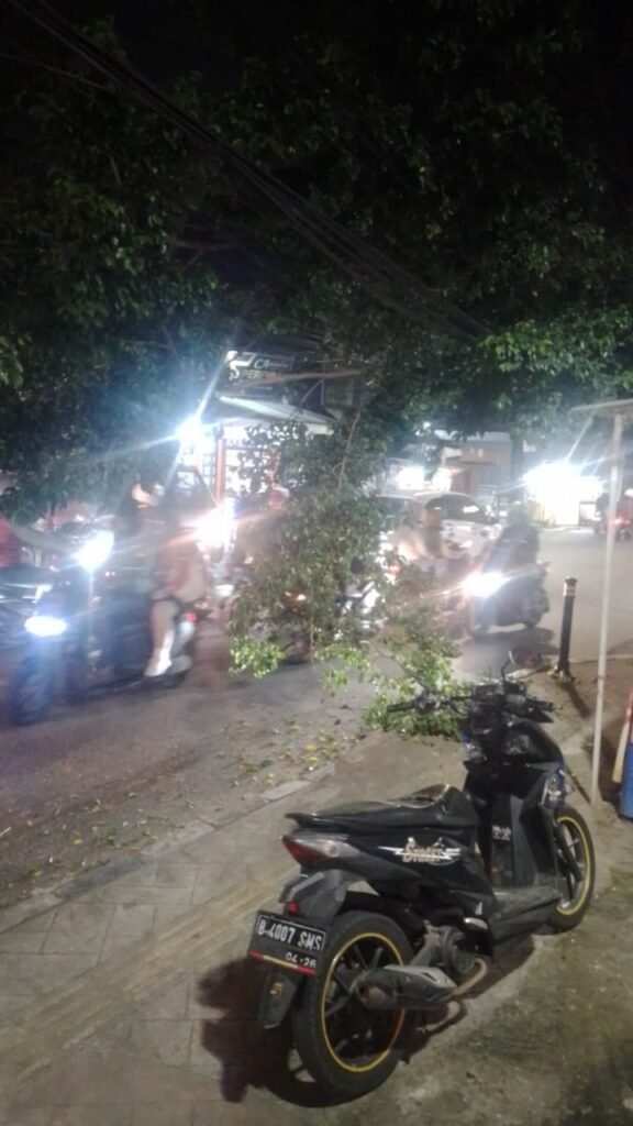 Evakuasi ranting pohon tumbang di Rempoa Ciputat Timur Tangsel 06/01/2026. FOTO: Henny06-PBMI