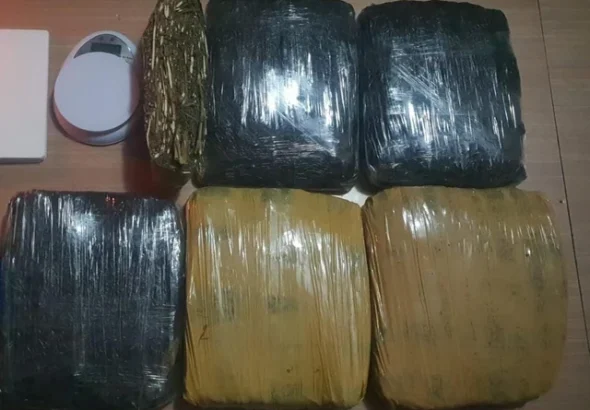 Polda Metro Jaya Tangkap 3 Pria di Tanah Abang dan Pamulang, Sita 15,5 Kg Ganja. Foto: Dok. Istimewa