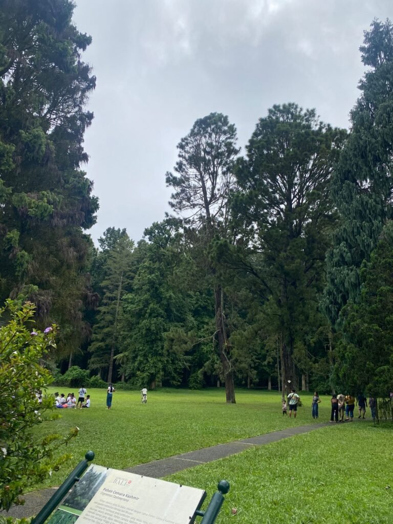 Kebun Raya Bedugul, atau Kebun Raya Eka Karya Bali, kembali jadi sorotan wisatawan. FOTO: Santi07/ portalbmi.id