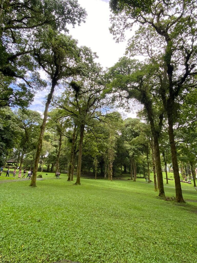 Kebun Raya Bedugul, atau Kebun Raya Eka Karya Bali, kembali jadi sorotan wisatawan. FOTO: Santi07/ portalbmi.id