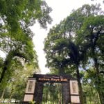 Kebun Raya Bedugul, atau Kebun Raya Eka Karya Bali, kembali jadi sorotan wisatawan. FOTO: Santi07/ portalbmi.id