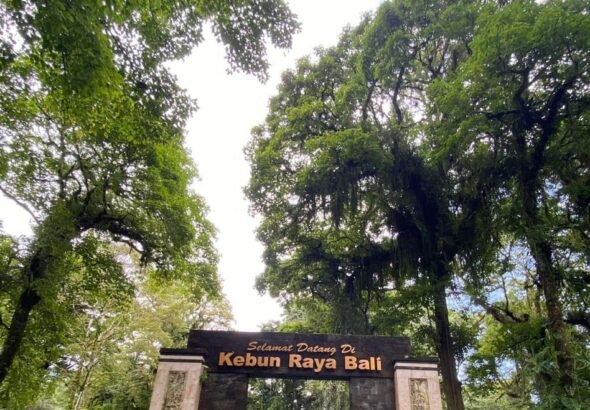 Kebun Raya Bedugul, atau Kebun Raya Eka Karya Bali, kembali jadi sorotan wisatawan. FOTO: Santi07/ portalbmi.id