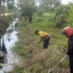 Warga Dusun Mulyorejo, Desa Limbung, Kecamatan Sungai Raya, Kabupaten Kubu Raya, menggelar gotong royong membersihkan lingkungan. FOTO: Firdaus06/ portalbmi.id