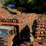Pabrik minyak kelapa sawit milik PT.Karya Tanah Subur (KTS) Desa Padang Sikabu, Kaway XVI, Aceh Barat, Aceh, Selasa (17/5/2022). Foto: Syifa Yulinnas/ANTARA FOTO