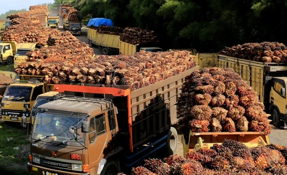 Pabrik minyak kelapa sawit milik PT.Karya Tanah Subur (KTS) Desa Padang Sikabu, Kaway XVI, Aceh Barat, Aceh, Selasa (17/5/2022). Foto: Syifa Yulinnas/ANTARA FOTO