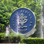 Ilustrasi IPB. Foto: Ikhsan Rosyadi/Shutterstock