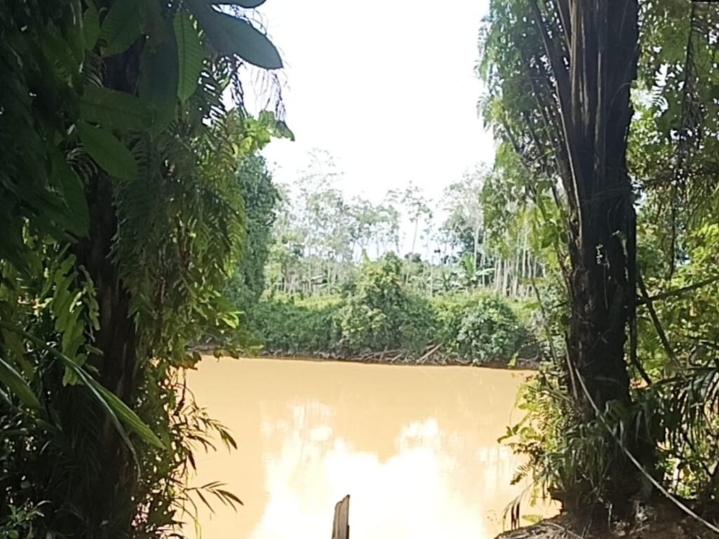 Pencemaran lingkungan pada aliran sungai yang diduga berasal dari aktivitas Penambangan Emas Tanpa Izin (PETI) di wilayah hulu. FOTO: Nop06/portalbmi.id