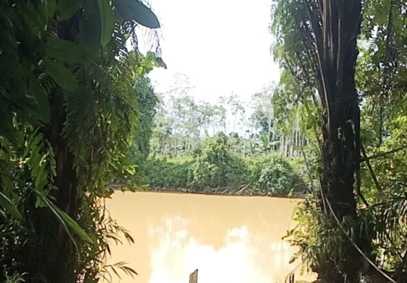 Pencemaran lingkungan pada aliran sungai yang diduga berasal dari aktivitas Penambangan Emas Tanpa Izin (PETI) di wilayah hulu. FOTO: Nop06/portalbmi.id