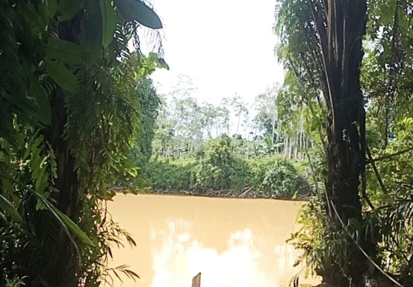 Pencemaran lingkungan pada aliran sungai yang diduga berasal dari aktivitas Penambangan Emas Tanpa Izin (PETI) di wilayah hulu. FOTO: Nop06/portalbmi.id