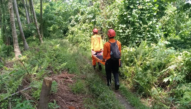 Proses evakuasi pendaki terjebak di Gunung Dukono, Halmahera Utara, yang meletus, Jumat (8/5/2026). Foto: Dok. Basarnas