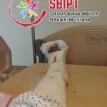 Yuni, saat terbaring di Far Eastern Memorial Hospital Taipei. (Sumber Foto : SBIPT).