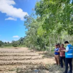 PLN UP3 Singkawang bersama perangkat Desa Sejiram melakukan pemantauan program TJSL “Petani Hebat, Jeruk Sejiram Berdaya Saing” di Desa Sejiram. FOTO: ANTARA