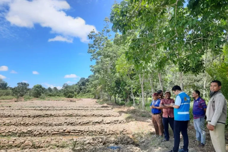 PLN UP3 Singkawang bersama perangkat Desa Sejiram melakukan pemantauan program TJSL “Petani Hebat, Jeruk Sejiram Berdaya Saing” di Desa Sejiram. FOTO: ANTARA