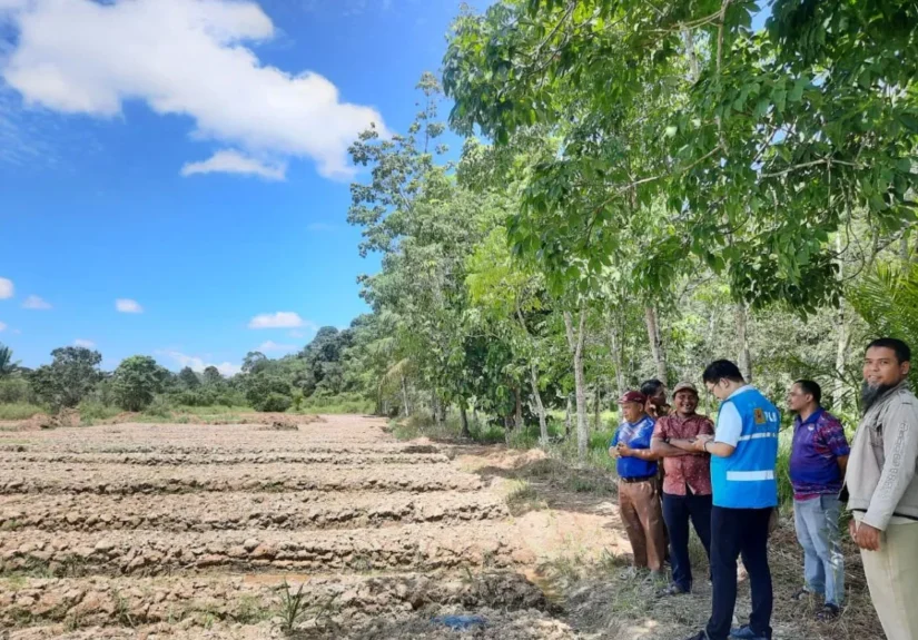 PLN UP3 Singkawang bersama perangkat Desa Sejiram melakukan pemantauan program TJSL “Petani Hebat, Jeruk Sejiram Berdaya Saing” di Desa Sejiram. FOTO: ANTARA
