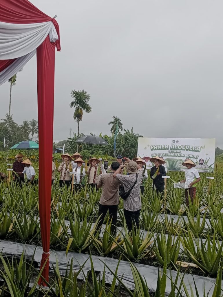 Penyerahan bantuan bibit, pembagian hadiah doorpize dan bantuan sembako, panen bersama Aloevera. FOTO: Aef05/PORTALBMI.ID