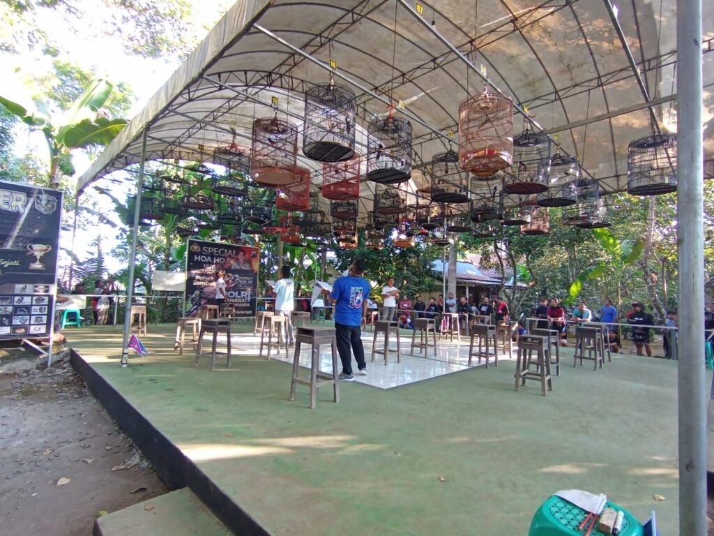 Dalam rangka memeriahkan Hari Bhayangkara ke-80, Polsek Tambak, Polresta Banyumas, menggelar lomba burung berkicau yang diikuti ratusan kicau mania. FOTO: Humas Polresta Banyumas