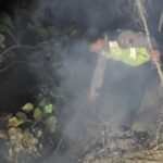Kebakaran melanda kawasan hutan pinus Blok Pencil di Dukuh Plabanan RT 03 RW 05, Desa Seboro, Kecamatan Sadang, Kabupaten Kebumen, Sabtu (25/7/2026). FOTO: Humas Polres Kebumen/PORTALBMI.ID