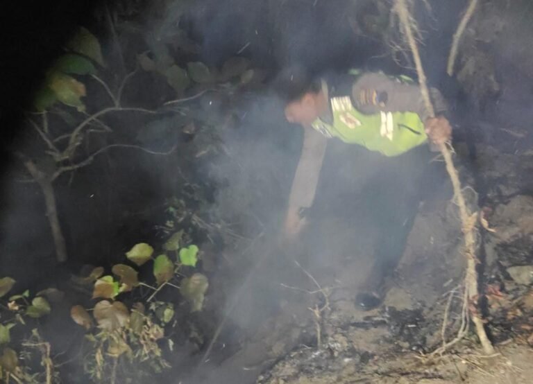 Kebakaran melanda kawasan hutan pinus Blok Pencil di Dukuh Plabanan RT 03 RW 05, Desa Seboro, Kecamatan Sadang, Kabupaten Kebumen, Sabtu (25/7/2026). FOTO: Humas Polres Kebumen/PORTALBMI.ID