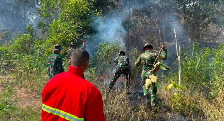 Kebakaran lahan di Batin Solapan, Bengkalis, Riau. FOTO: PORTALBMI.ID